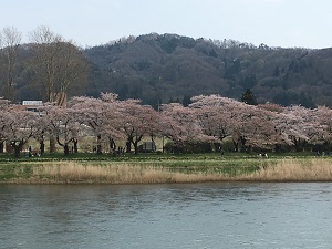 北上の展勝地